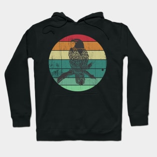 Vintage Bald Eagle Retro Sunset American Hoodie